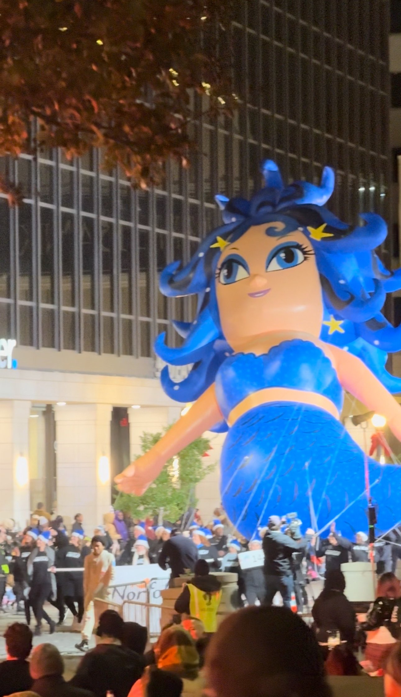Mermaid Float